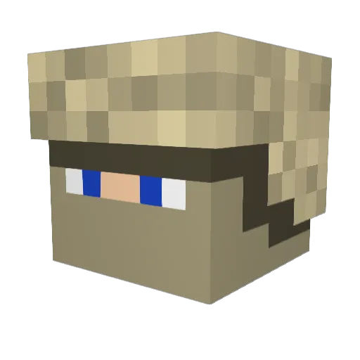 Fledermaus_Boy Minecraft avatar head, 3D render