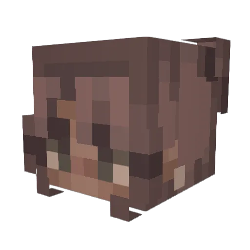 Fleece04 Minecraft avatar head, 3D render