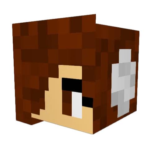 Fleecey Minecraft avatar head, 3D render