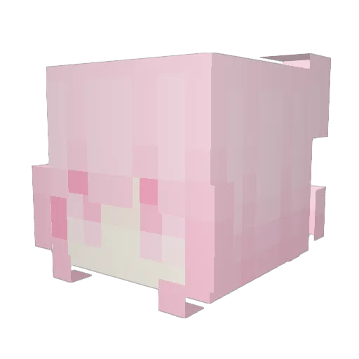 Fleeh Minecraft avatar head, 3D render