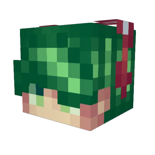 Fleek1337 Minecraft avatar head, 3D render