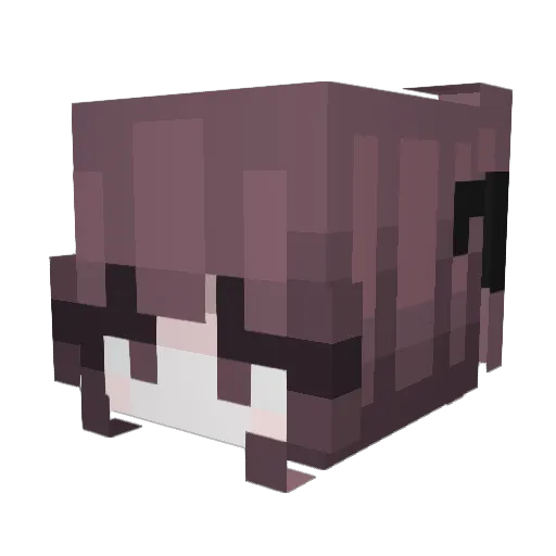 Fleespook Minecraft avatar head, 3D render
