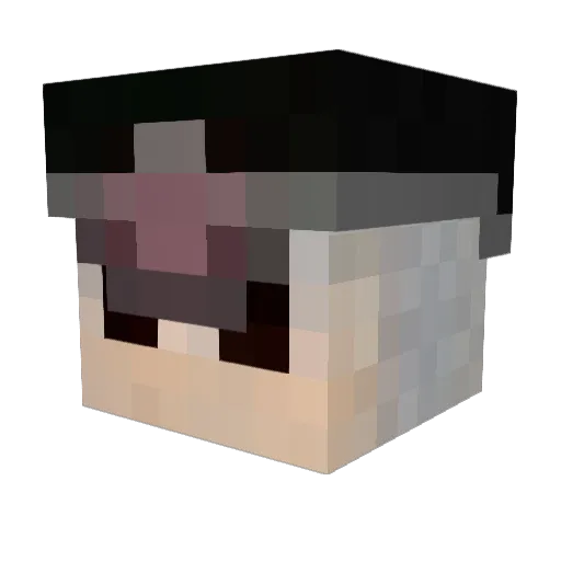 Fleet0n Minecraft avatar head, 3D render