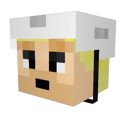FleetFarm Minecraft avatar head, 3D render