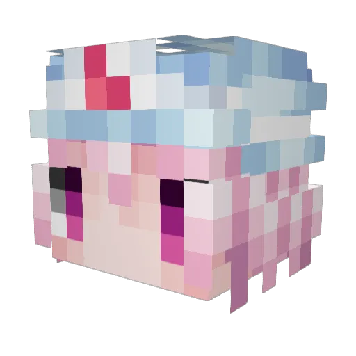 Fleetfoot9978 Minecraft avatar head, 3D render