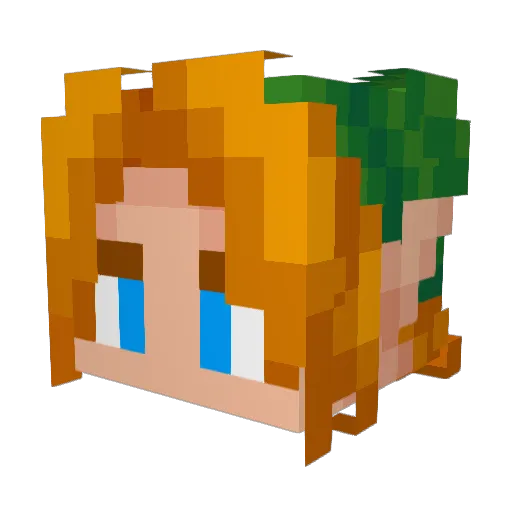 FleetwayGaming1 Minecraft avatar head, 3D render