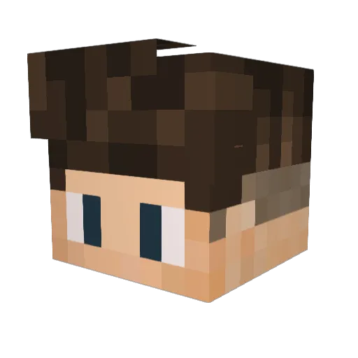 Fleexs Minecraft avatar head, 3D render