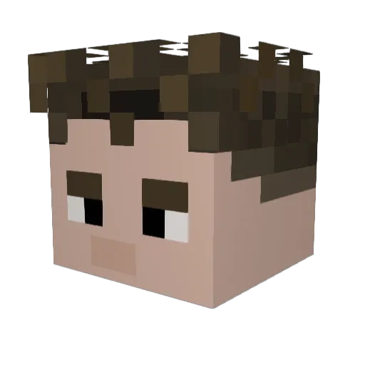 Flega Minecraft avatar head, 3D render