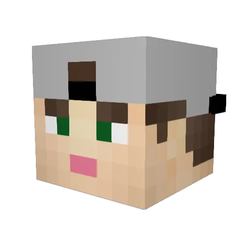 Flegu Minecraft avatar head, 3D render