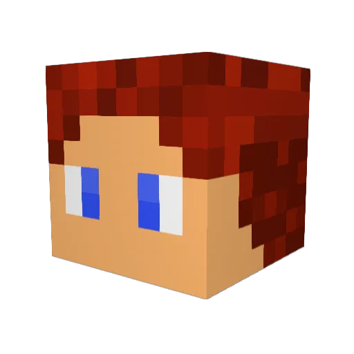 FleischDiplomat Minecraft avatar head, 3D render