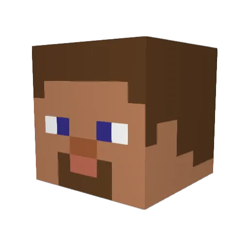 Fleischwand Minecraft avatar head, 3D render