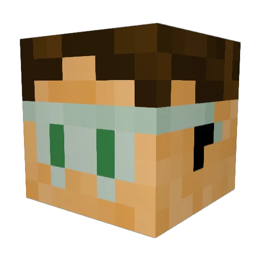 Fleiwah Minecraft avatar head, 3D render