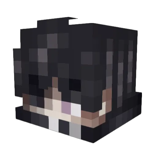 FlekDope Minecraft avatar head, 3D render