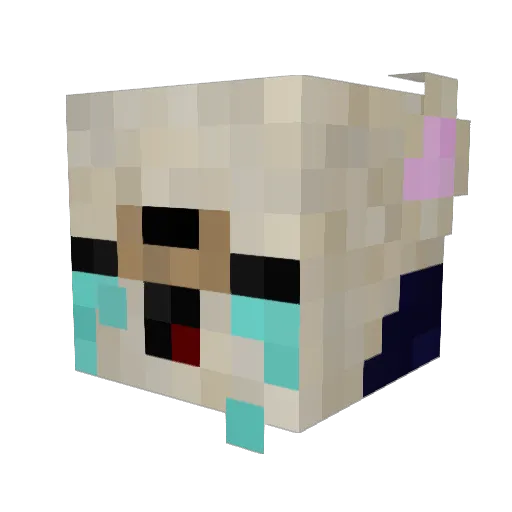 Flem2Faire1nom Minecraft avatar head, 3D render