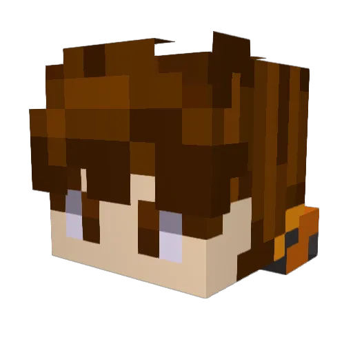Flemi25 Minecraft avatar head, 3D render