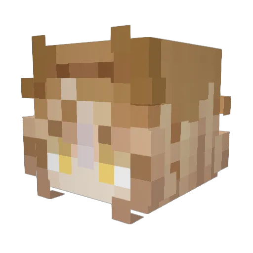 FleoVT Minecraft avatar head, 3D render