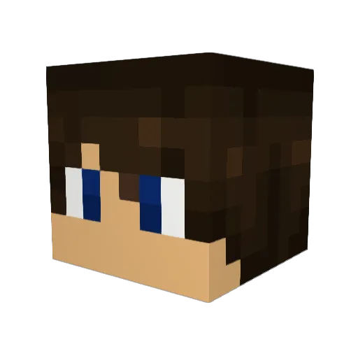 Fleonis Minecraft avatar head, 3D render