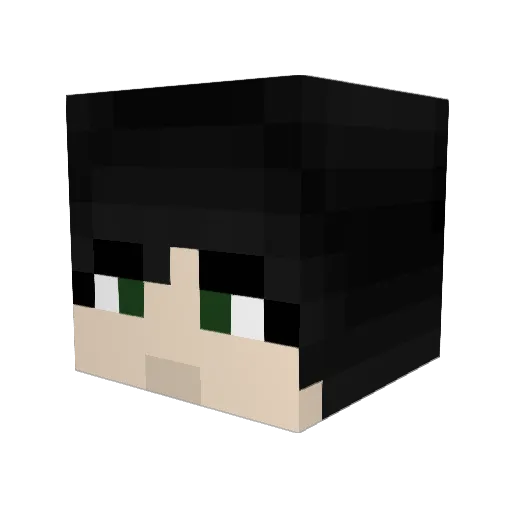 Fleopart Minecraft avatar head, 3D render