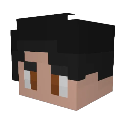 Fleptor Minecraft avatar head, 3D render