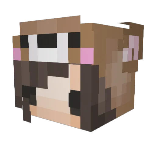 Flera Minecraft avatar head, 3D render