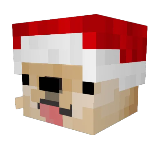 FlerpaDerpa Minecraft avatar head, 3D render