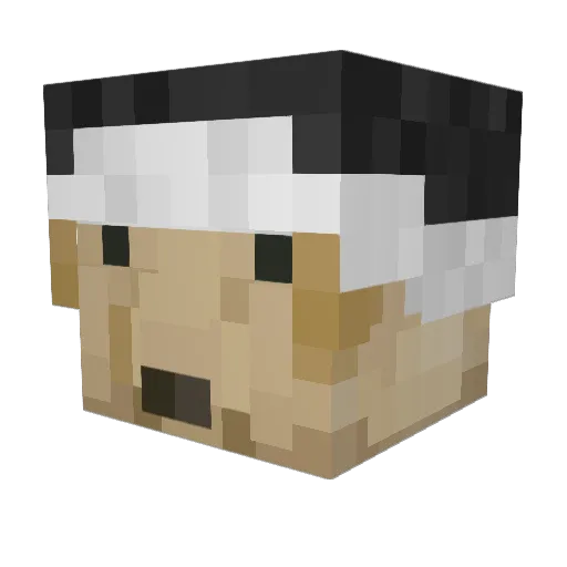 FlesSJ Minecraft avatar head, 3D render