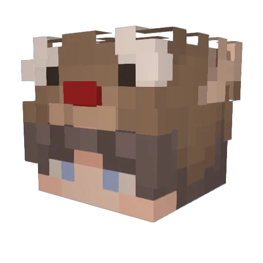 Flesh989 Minecraft avatar head, 3D render