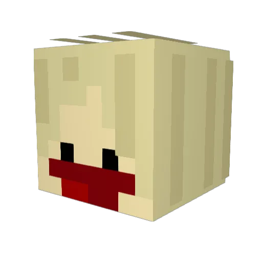 Fleshfinga Minecraft avatar head, 3D render