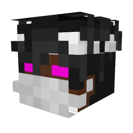 Fleshkaaaa Minecraft avatar head, 3D render