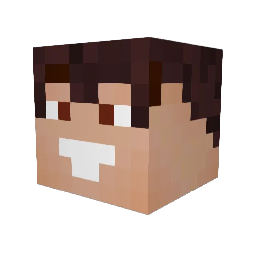 Flesio Minecraft avatar head, 3D render