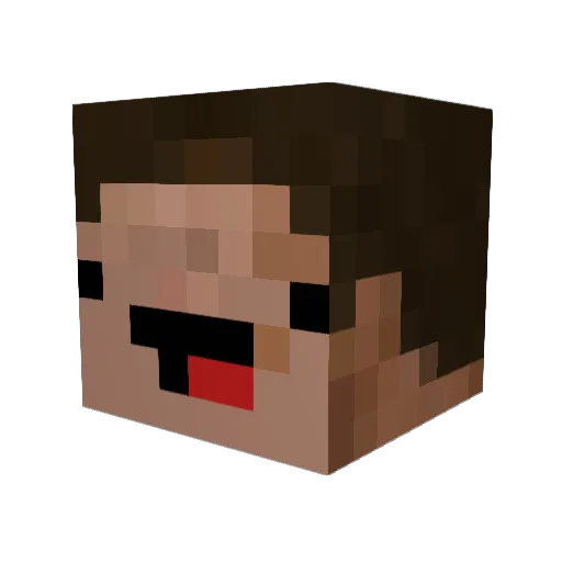 Flessel Minecraft avatar head, 3D render