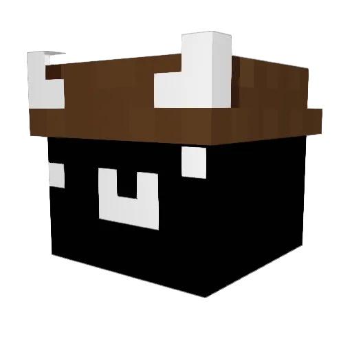 Flessz Minecraft avatar head, 3D render