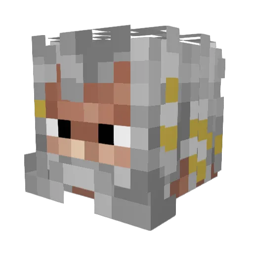 Fletch324 Minecraft avatar head, 3D render