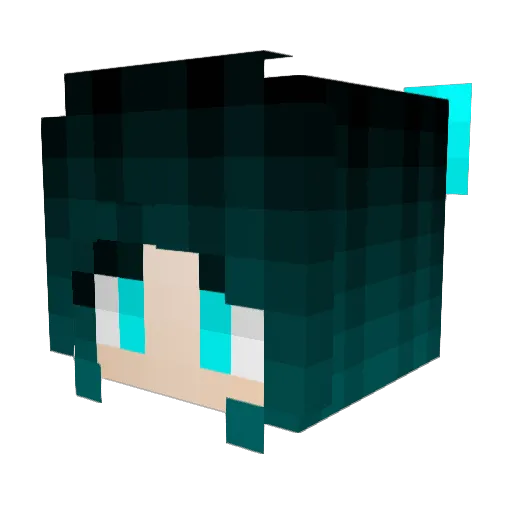 Fletch56 Minecraft avatar head, 3D render