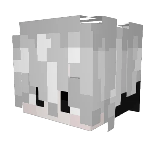 FletchMan2 Minecraft avatar head, 3D render