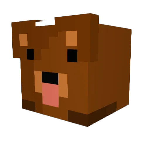 Fletchaar Minecraft avatar head, 3D render