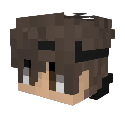 Fletched_ Minecraft avatar head, 3D render