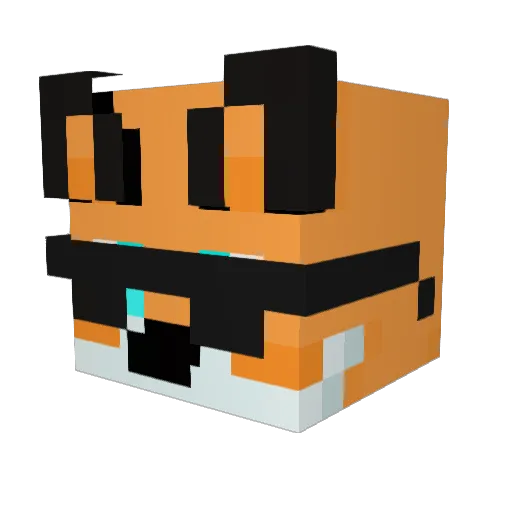 Fletcher2494 Minecraft avatar head, 3D render