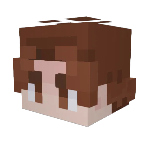 Fletcherberry Minecraft avatar head, 3D render
