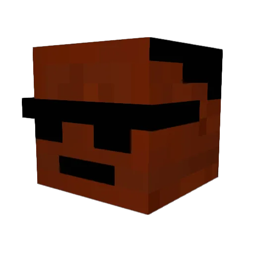 Fletchor Minecraft avatar head, 3D render