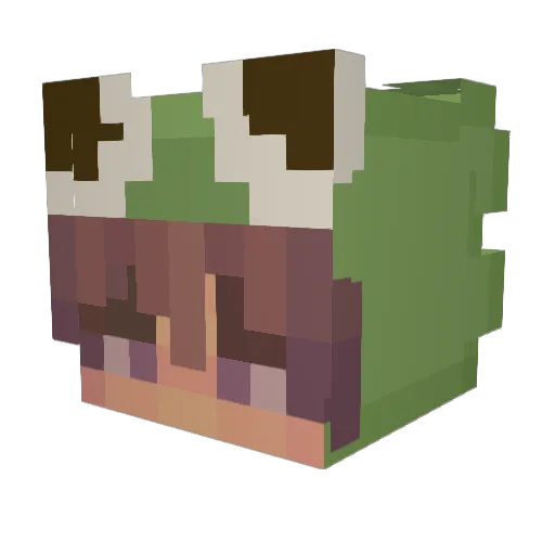 Fletchz Minecraft avatar head, 3D render