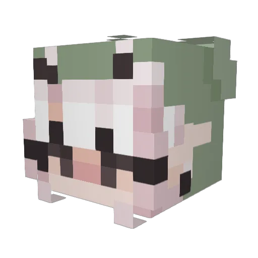 Fletty31 Minecraft avatar head, 3D render