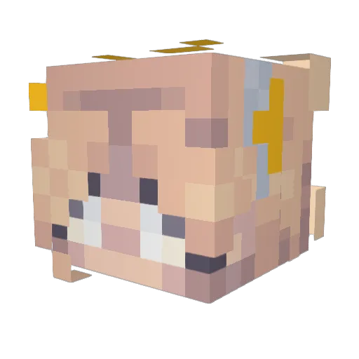 FleurLiv Minecraft avatar head, 3D render