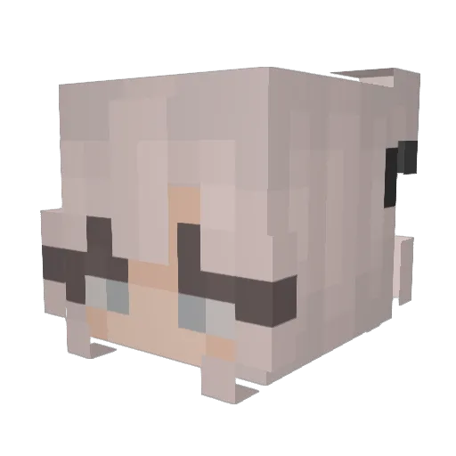 FleurNugg3t Minecraft avatar head, 3D render