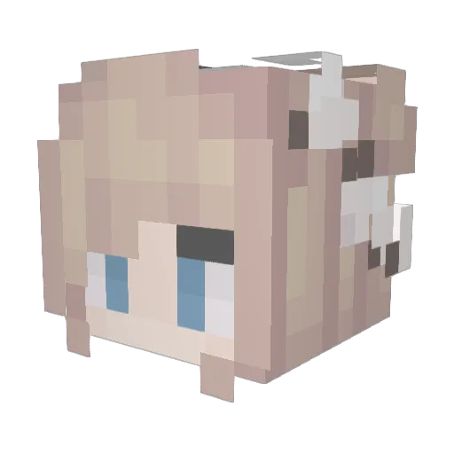 Fleur_LHX Minecraft avatar head, 3D render