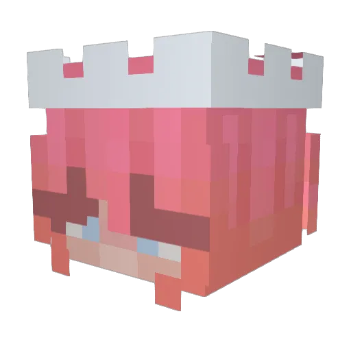 Fleurirr Minecraft avatar head, 3D render