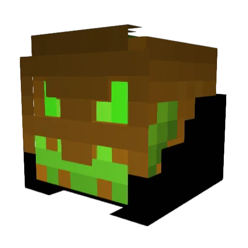 Fleurot Minecraft avatar head, 3D render