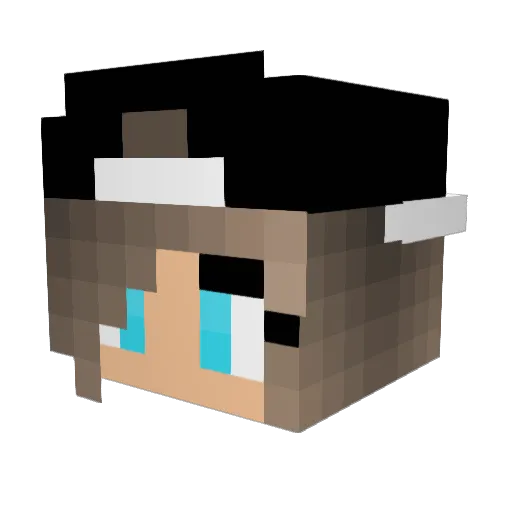 Fleurtje_3 Minecraft avatar head, 3D render
