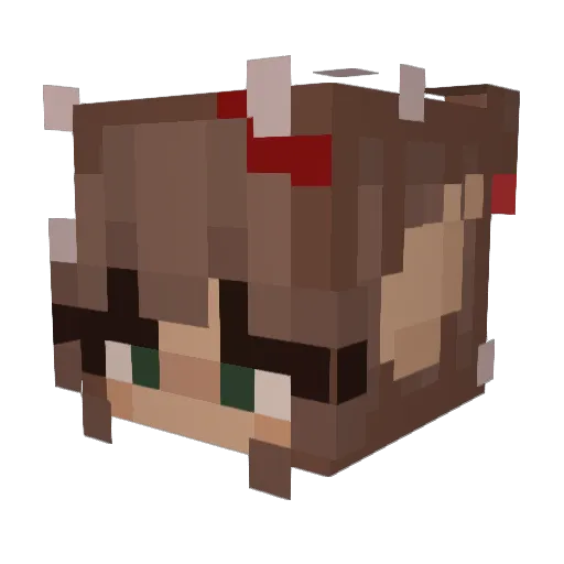 Fleurxoxo Minecraft avatar head, 3D render