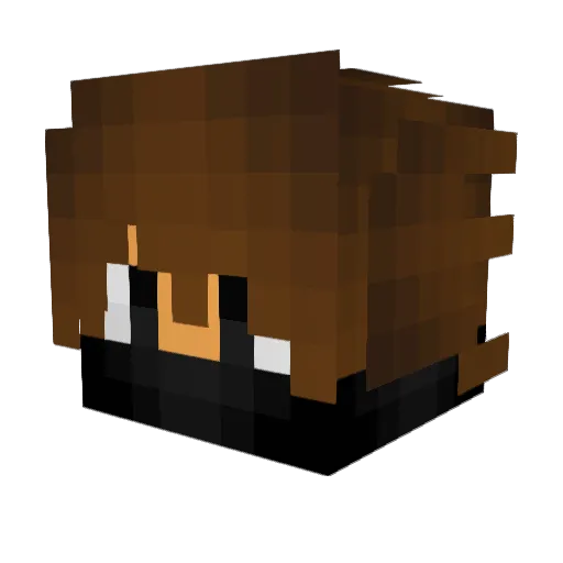 Fleusii Minecraft avatar head, 3D render